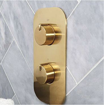 Thermostatic shower valves